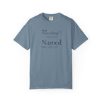 Not Everything Needs to be Named T-Shirt