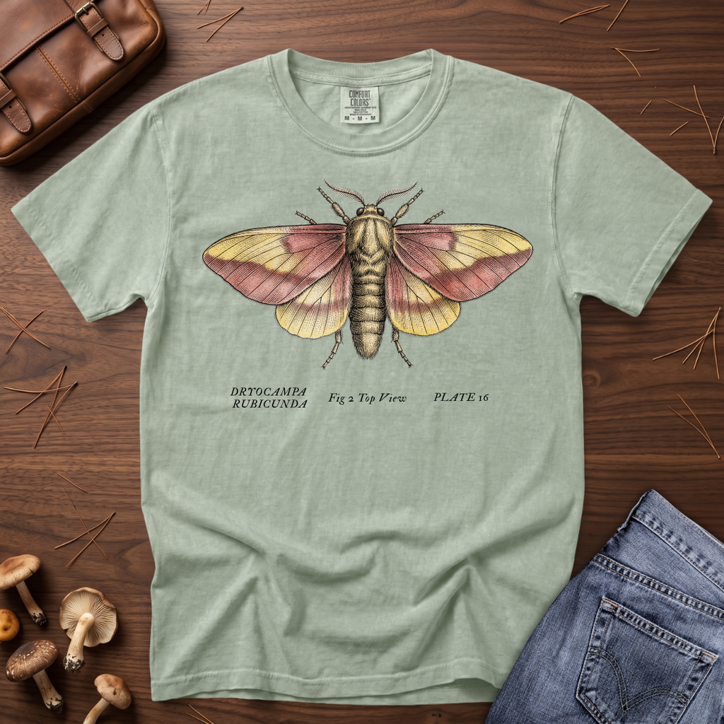 Rosy Maple Moth T-Shirt