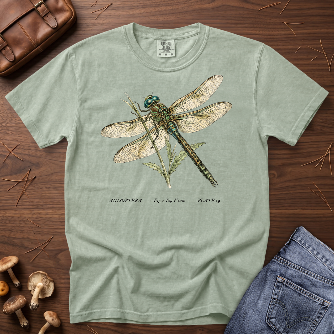 Dragonfly T-Shirt