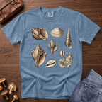 Collected Seashells T-Shirt