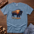 Extraordinary Bison T-Shirt