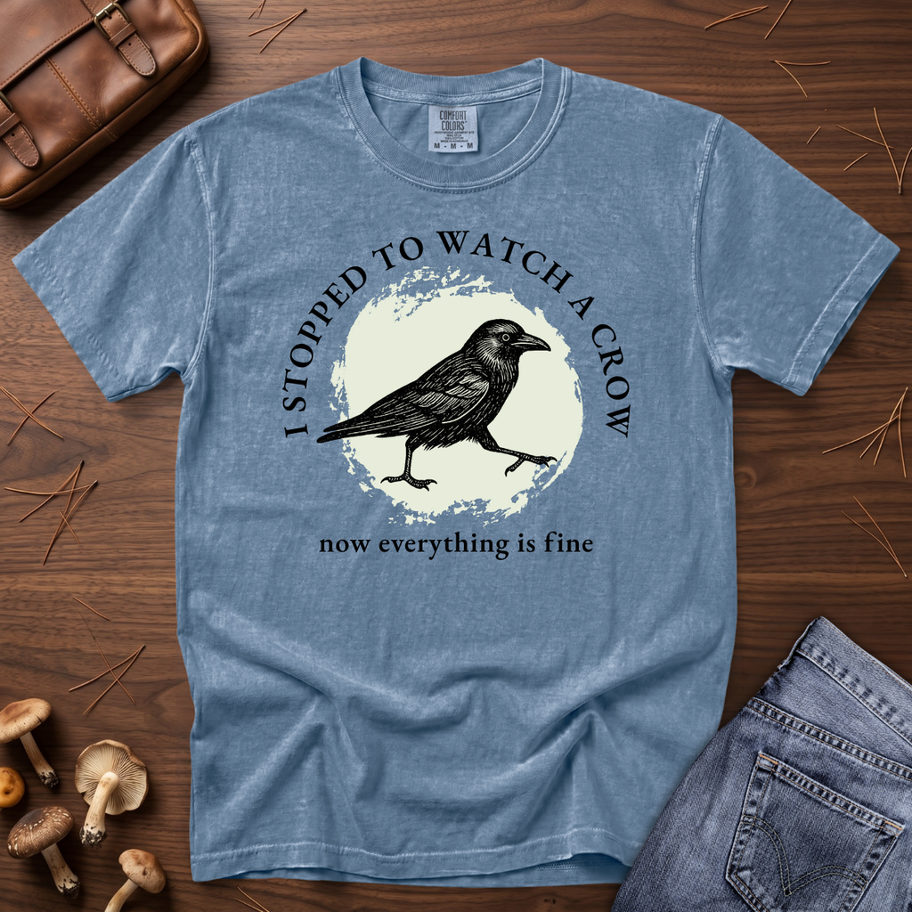 I Stopped to Watch a Crow