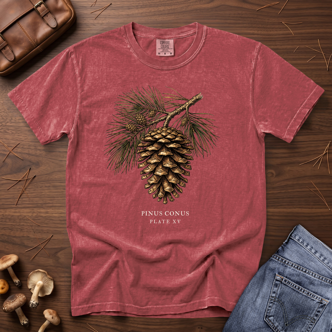 Pinecone Study T-Shirt