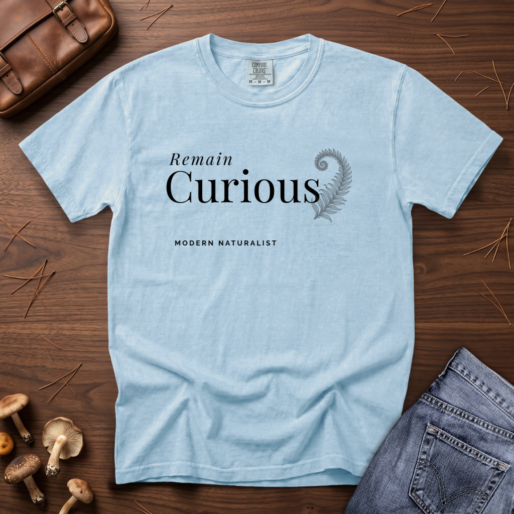Remain Curious T-Shirt