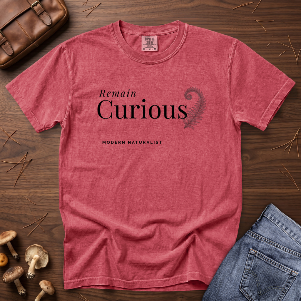 Remain Curious T-Shirt