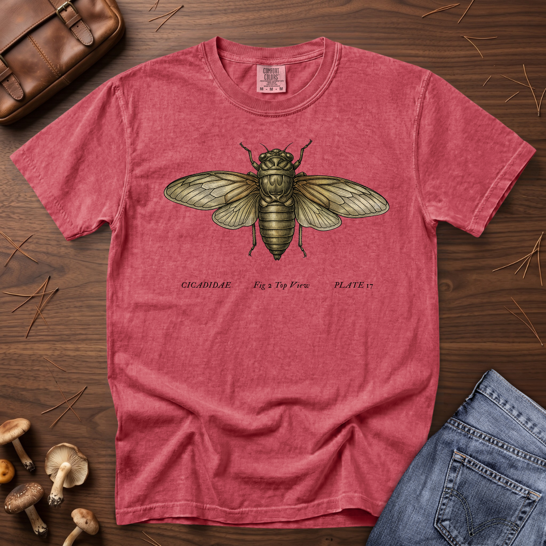 Cicada T-Shirt