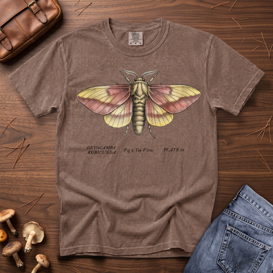 Rosy Maple Moth T-Shirt