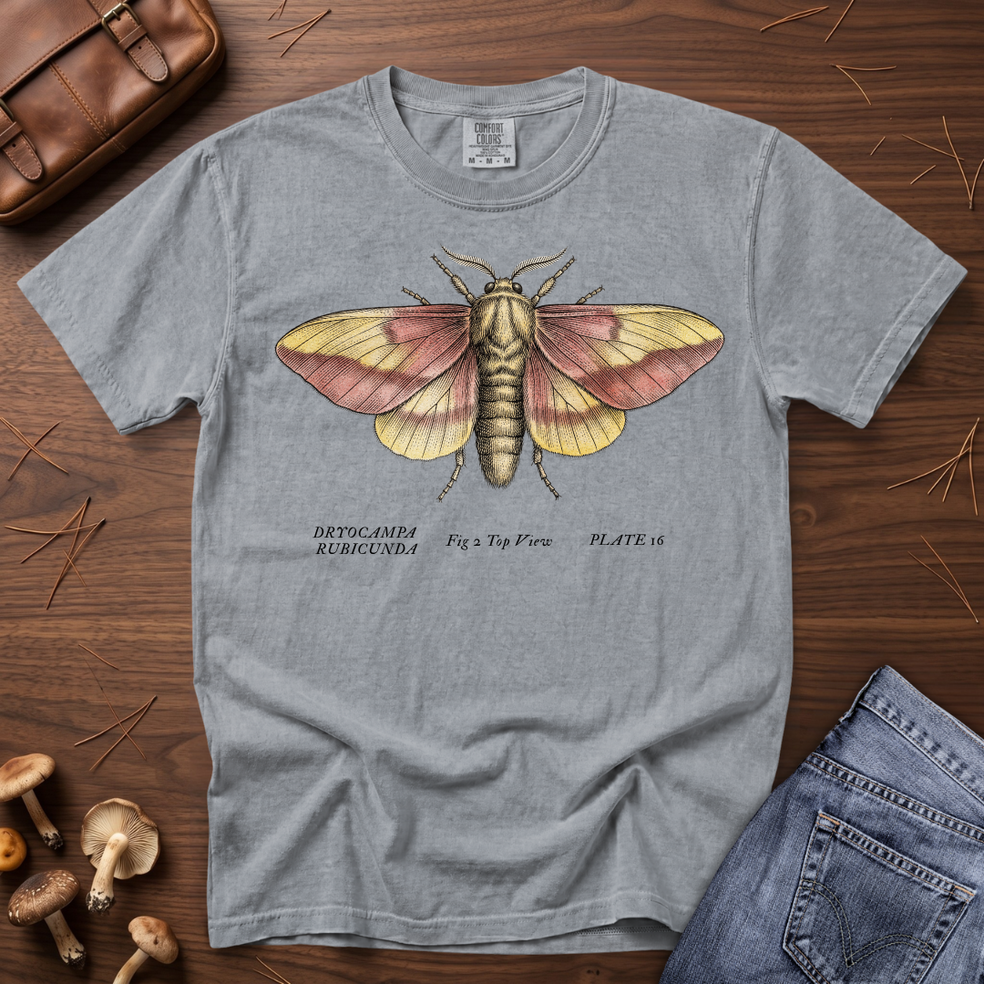 Rosy Maple Moth T-Shirt