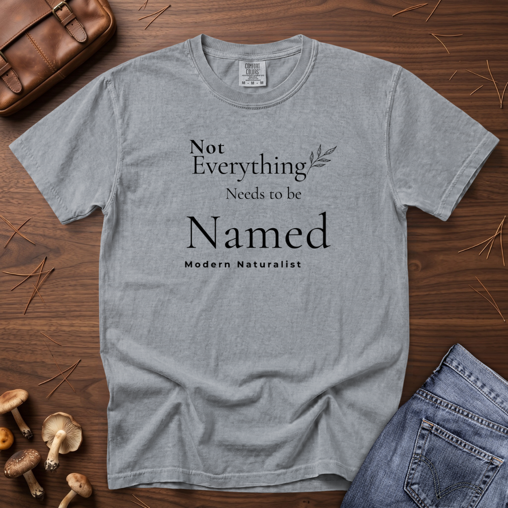 Not Everything Needs to be Named T-Shirt