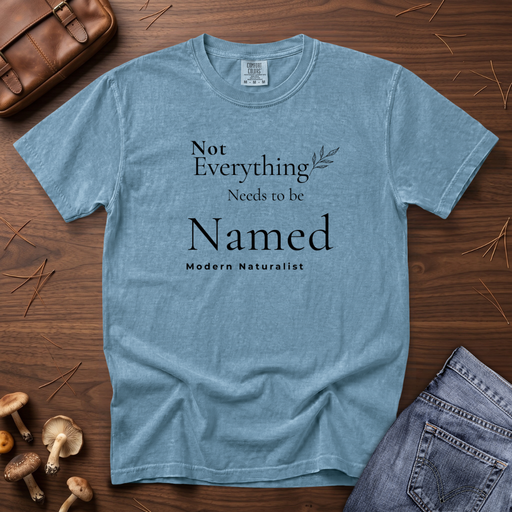 Not Everything Needs to be Named T-Shirt