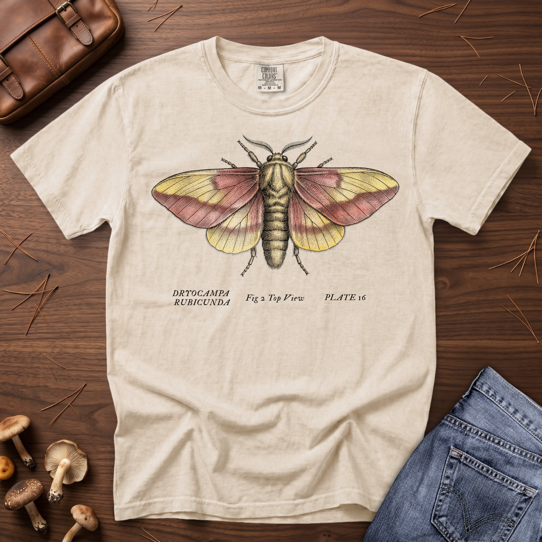 Rosy Maple Moth T-Shirt