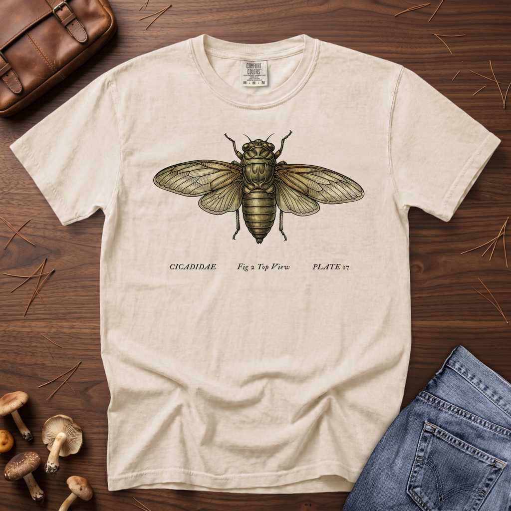 Cicada T-Shirt