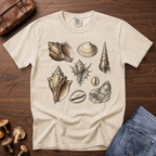 Collected Seashells T-Shirt