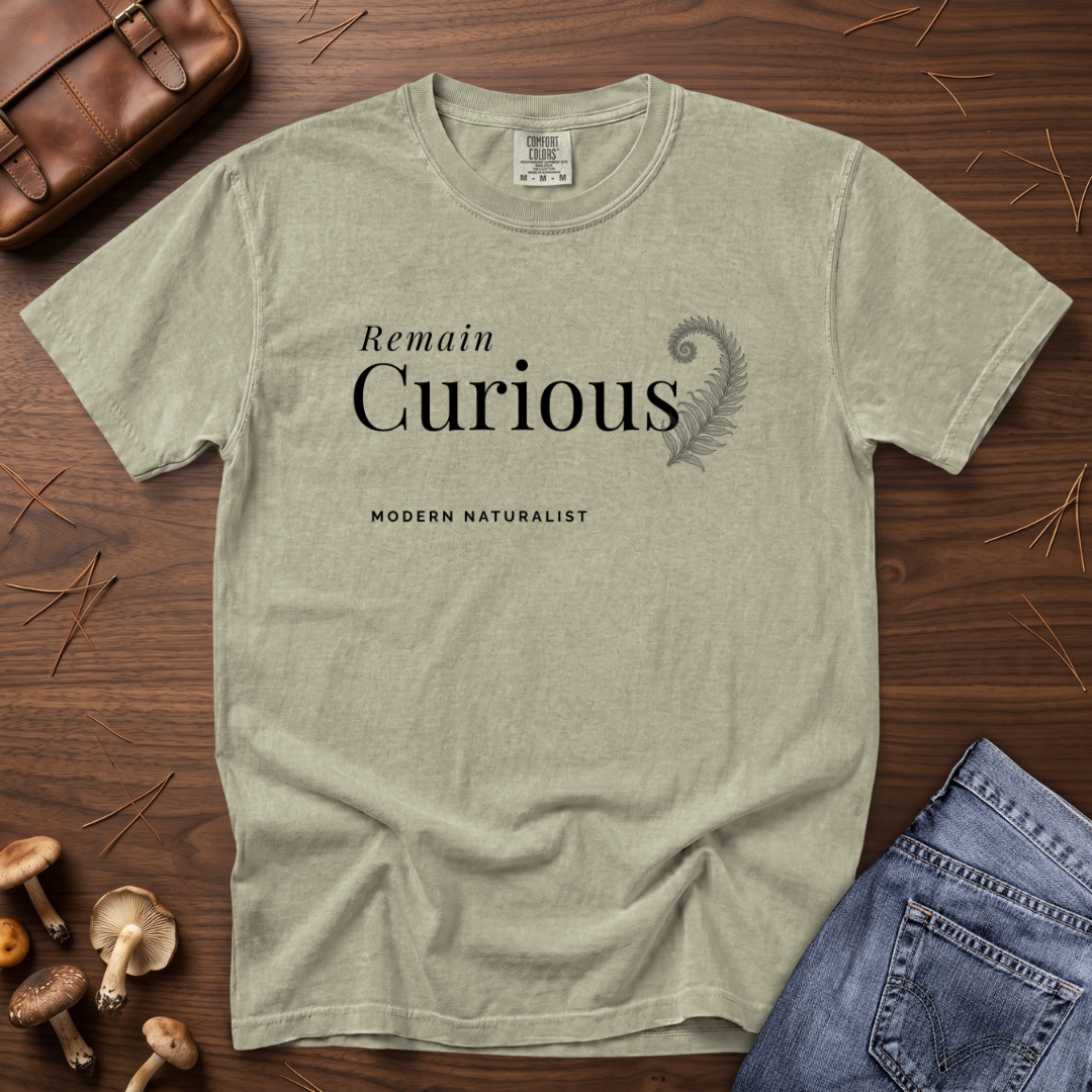 Remain Curious T-Shirt