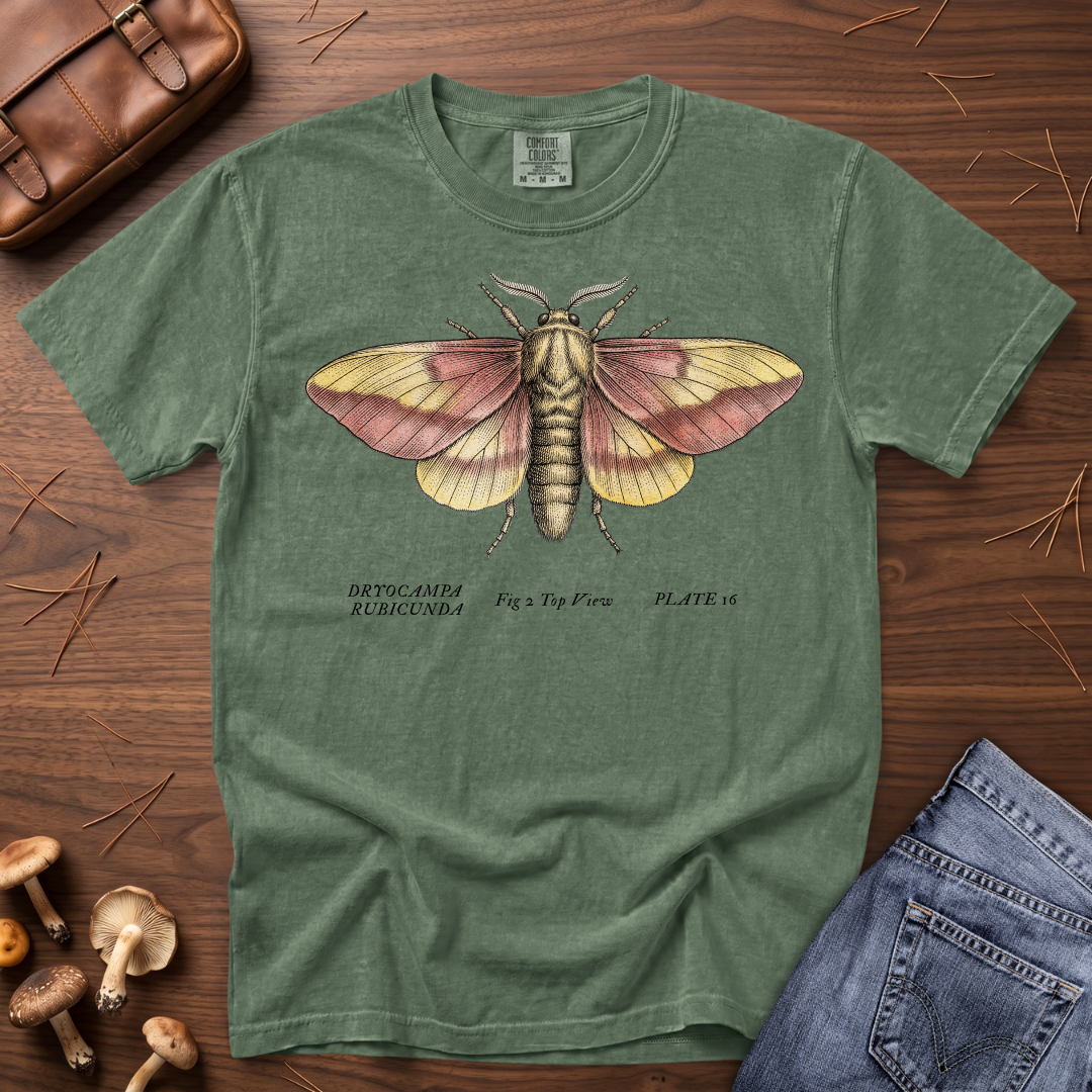Rosy Maple Moth T-Shirt
