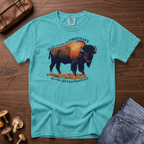 Extraordinary Bison T-Shirt