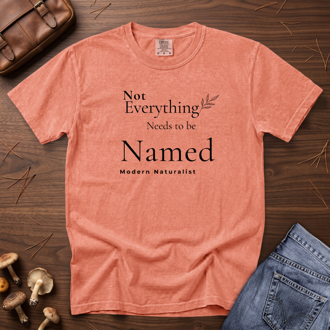 Not Everything Needs to be Named T-Shirt